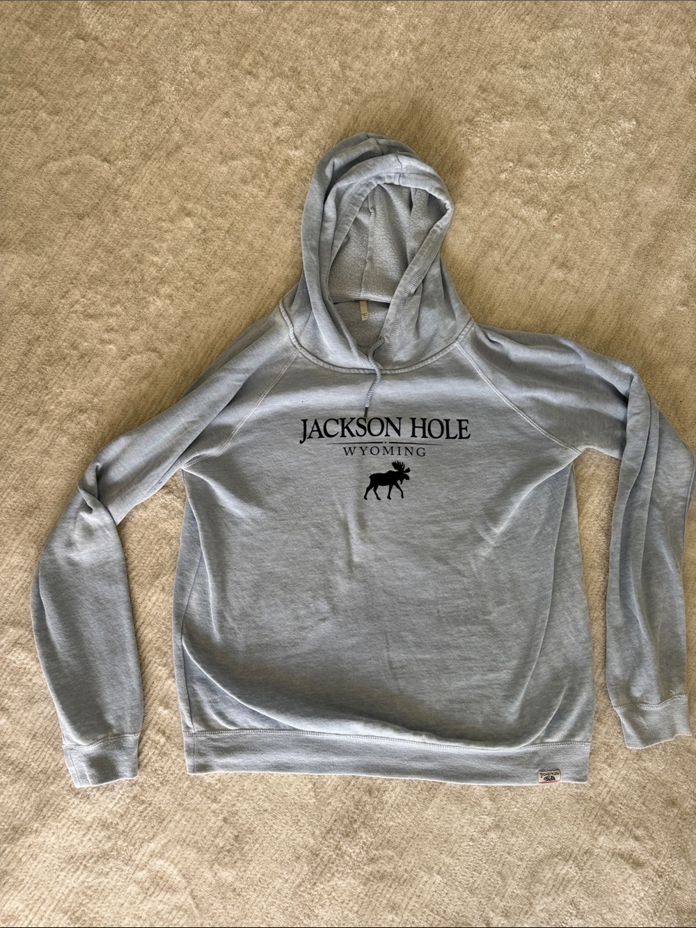 Techstyles Light Blue Sweatshirt with Moose Graphic